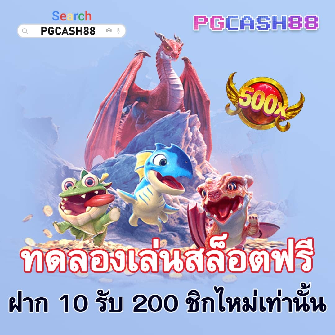 betflik 249